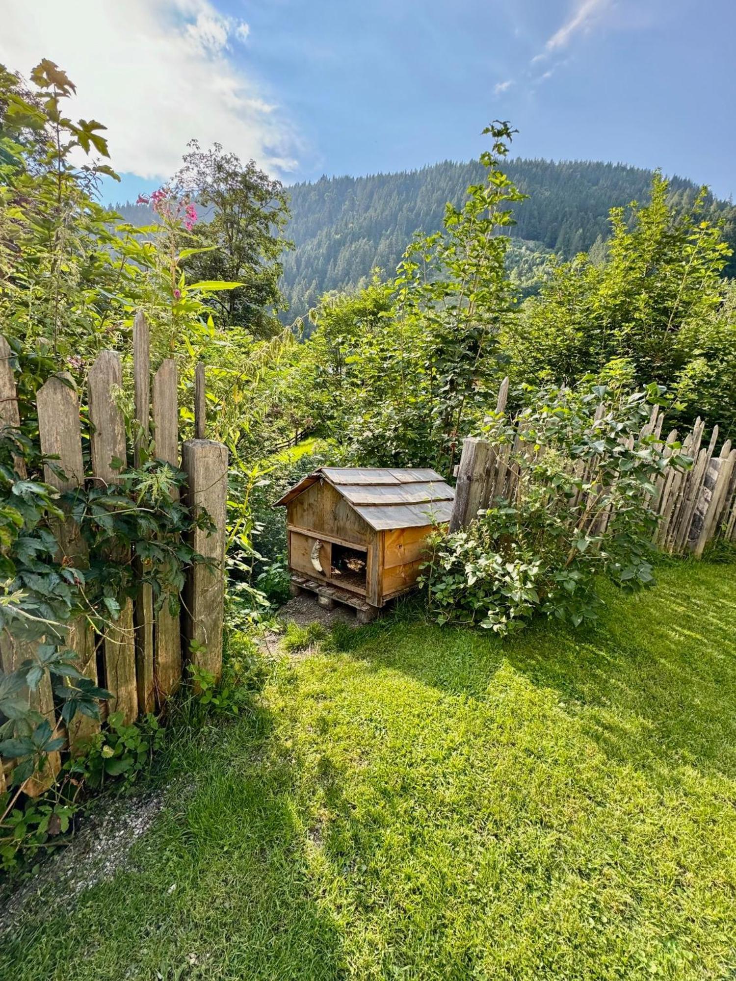 Appartement Haensel & Gretel Werfenweng Dış mekan fotoğraf